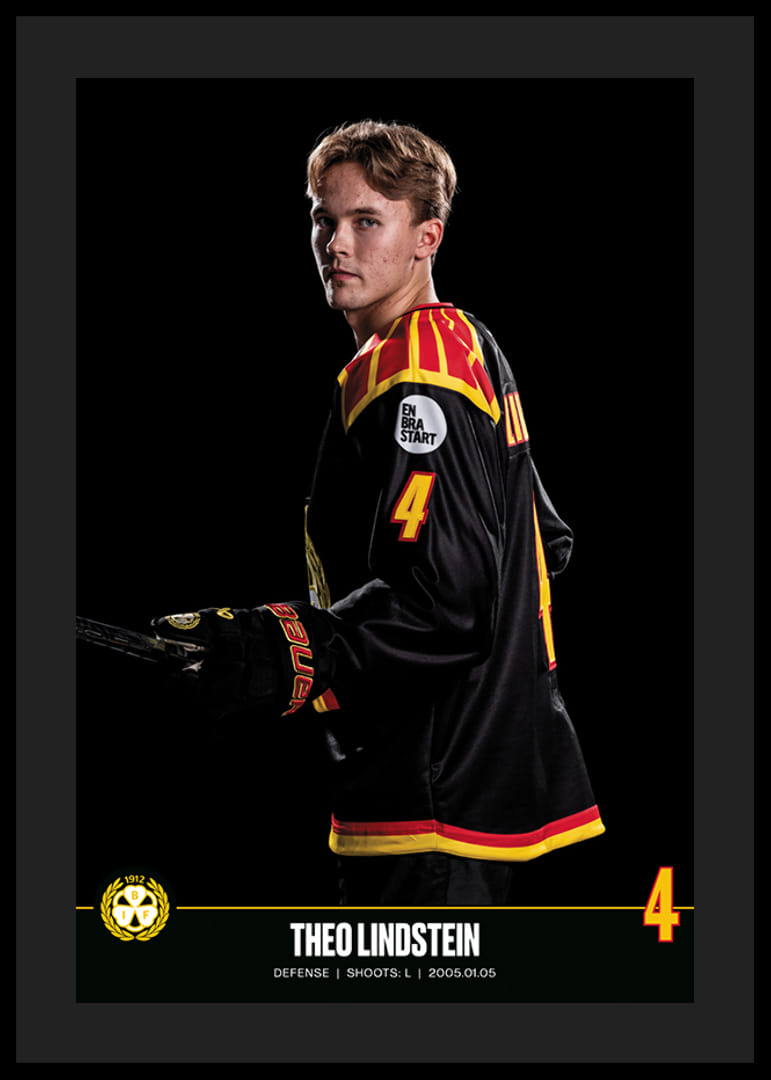 Theo Lindstein #4 Brynäs IF 2023/2024-12