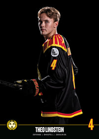 Theo Lindstein #4 Brynäs IF 2023/2024-7