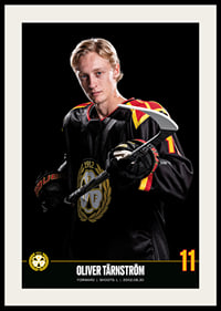 Oliver Tärnström #11 Brynäs IF 2023/2024-2