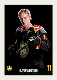 Oliver Tärnström #11 Brynäs IF 2023/2024-3