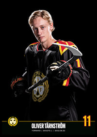 Oliver Tärnström #11 Brynäs IF 2023/2024-6