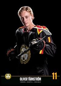 Oliver Tärnström #11 Brynäs IF 2023/2024-2