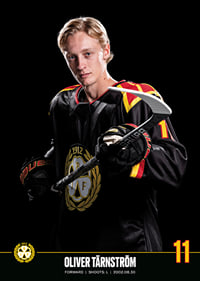 Oliver Tärnström #11 Brynäs IF 2023/2024-7