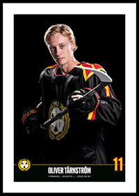 Oliver Tärnström #11 Brynäs IF 2023/2024-0