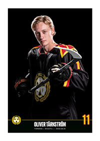 Oliver Tärnström #11 Brynäs IF 2023/2024-1