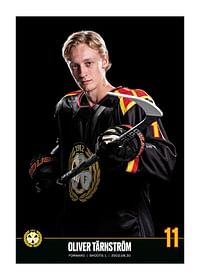 Oliver Tärnström #11 Brynäs IF 2023/2024-1