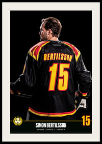 Simon Bertilsson #15 Brynäs IF 2023/2024-2