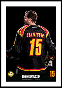 Simon Bertilsson #15 Brynäs IF 2023/2024-0