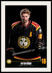 Anton Rödin #18 Brynäs IF 2023/2024-2