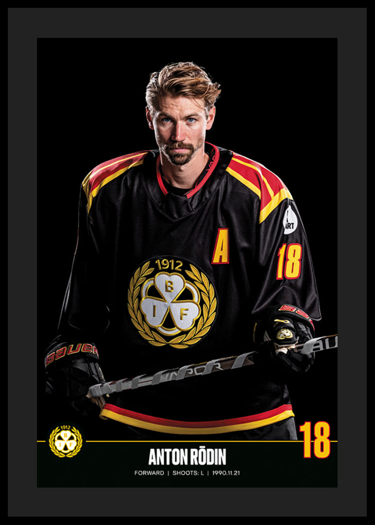 Anton Rödin #18 Brynäs IF 2023/2024-12