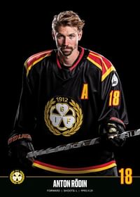 Anton Rödin #18 Brynäs IF 2023/2024-3