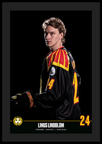 Linus Lindblom #24 Brynäs IF 2023/2024-4