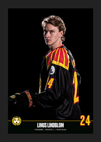 Linus Lindblom #24 Brynäs IF 2023/2024-5