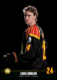 Linus Lindblom #24 Brynäs IF 2023/2024-6
