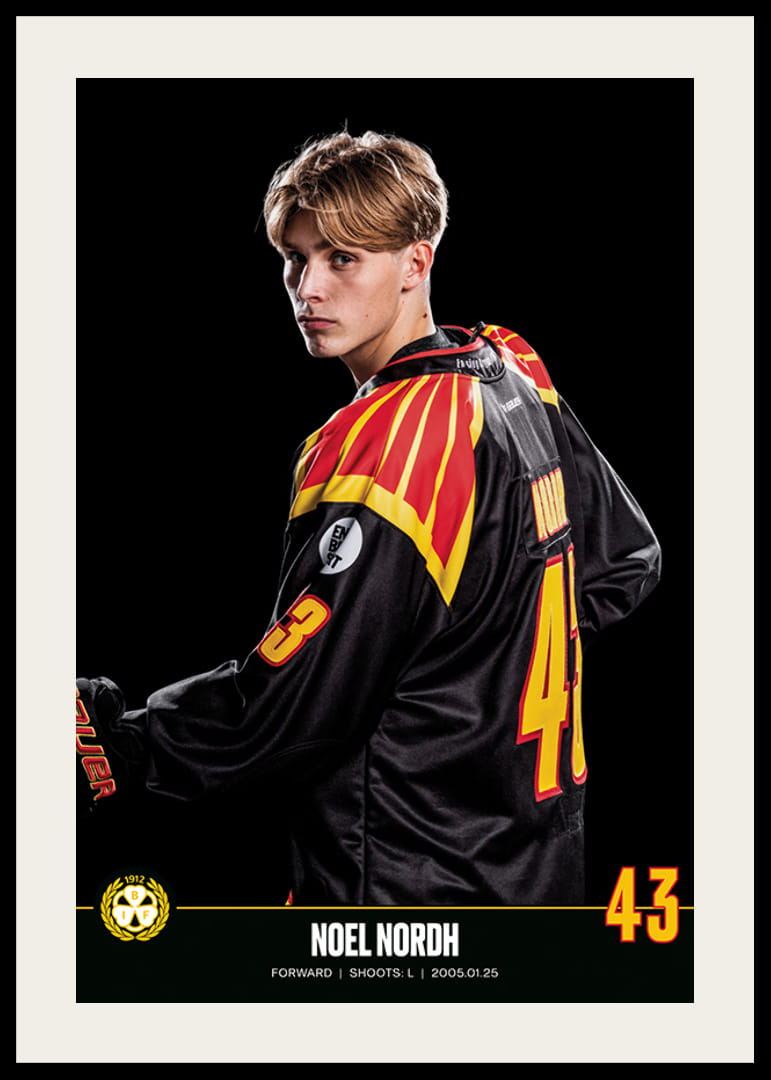 Noel Nordh #43 Brynäs IF 2023/2024-12