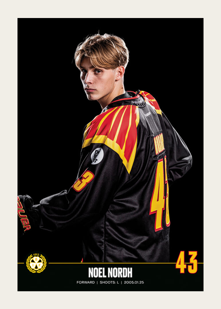 Noel Nordh #43 Brynäs IF 2023/2024-12
