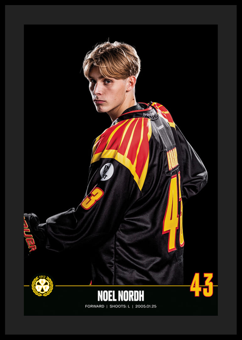 Noel Nordh #43 Brynäs IF 2023/2024-12