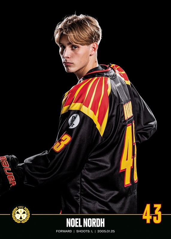 Noel Nordh #43 Brynäs IF 2023/2024-12