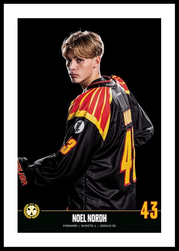 Poster Noel Nordh #43 Brynäs IF 2023/2024