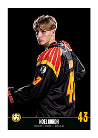 Noel Nordh #43 Brynäs IF 2023/2024-1