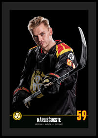 Kārlis Čukste #59 Brynäs IF 2023/2024-4