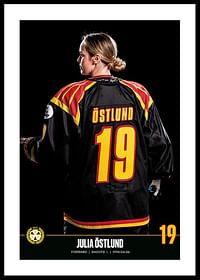 Julia Östlund #19 Brynäs IF 2023/2024-0