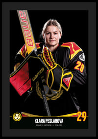 Klara Peslarova #29 Brynäs IF 2023/2024-4
