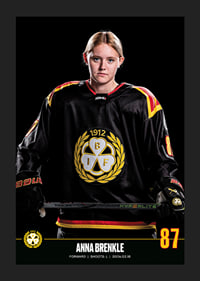 Anna Brenkle #87 Brynäs IF 2023/2024-5