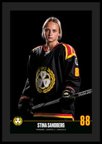 Stina Sandberg #88 Brynäs IF 2023/2024-4