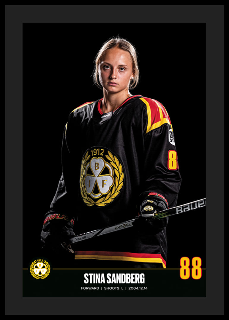 Stina Sandberg #88 Brynäs IF 2023/2024-12