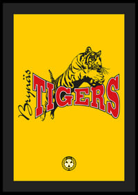 Tigers Brynäs IF-4