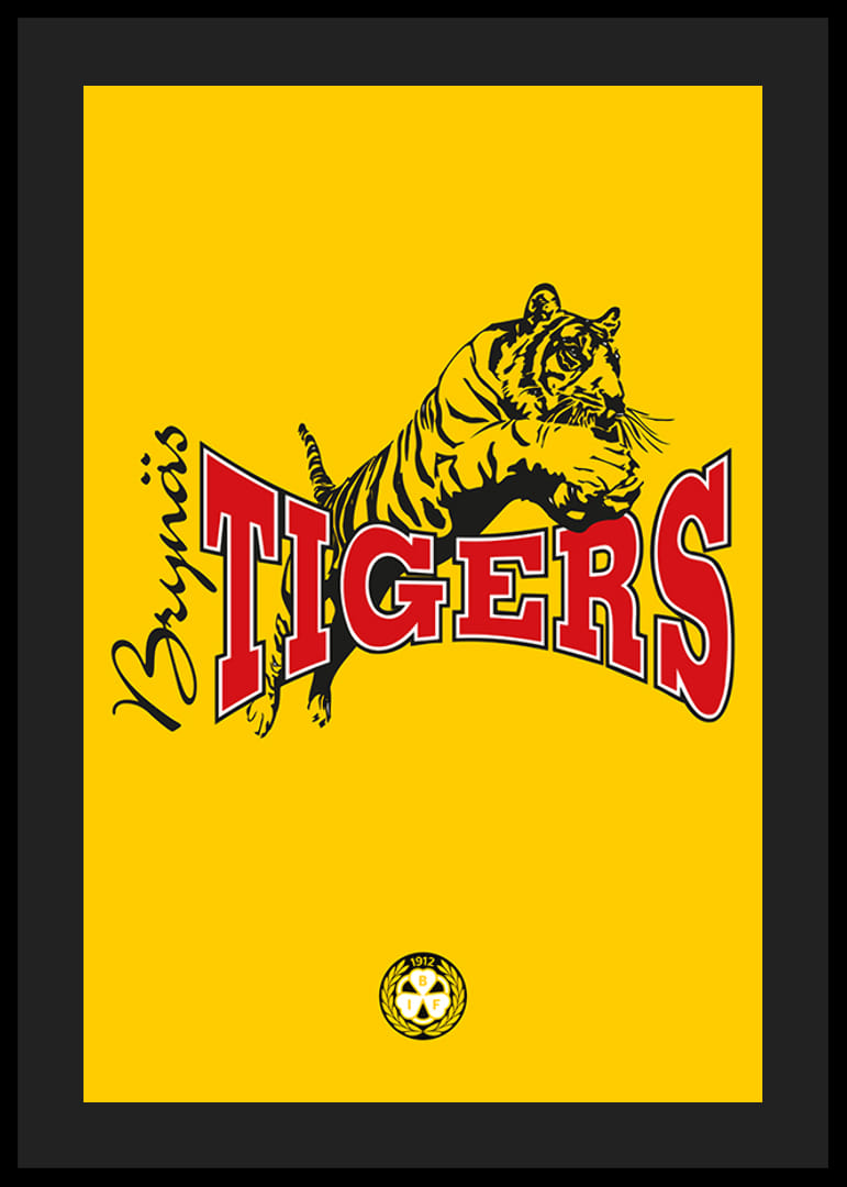 Tigers Brynäs IF-12