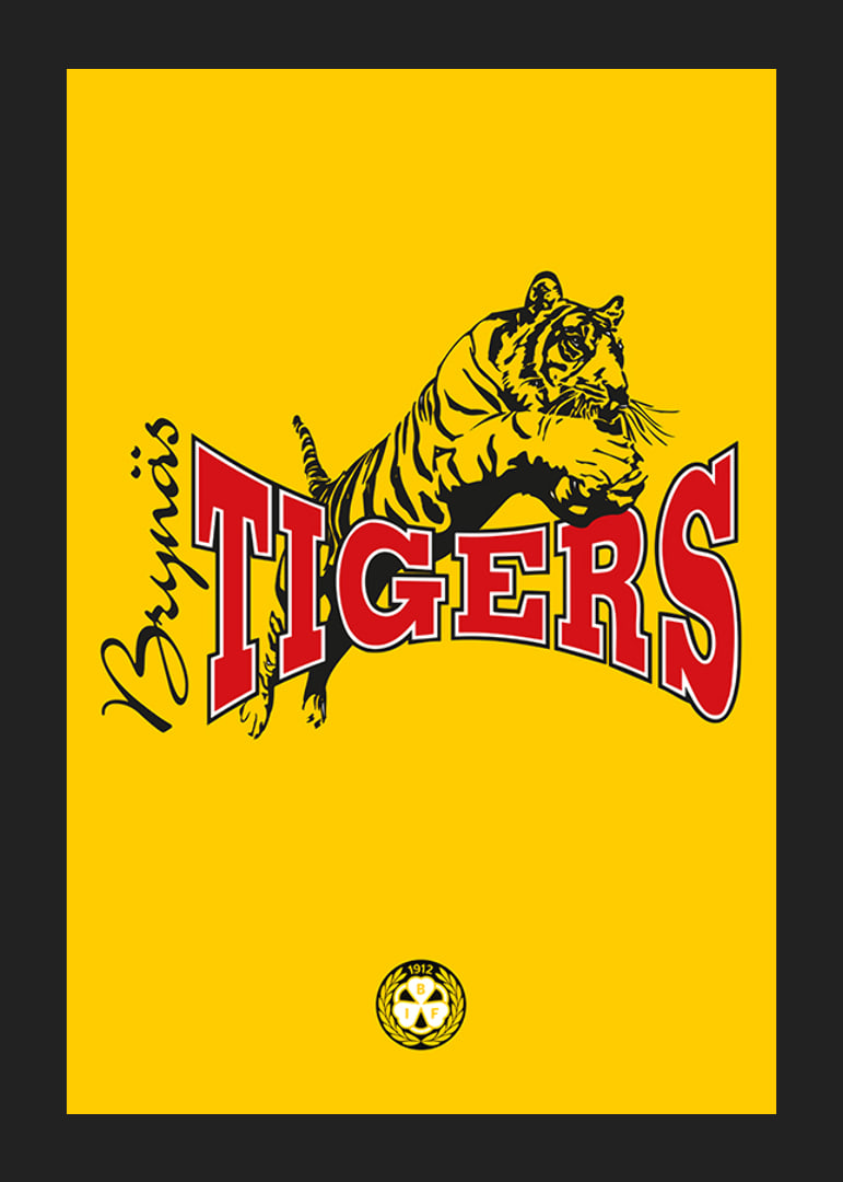 Tigers Brynäs IF-12