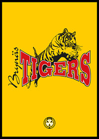 Tigers Brynäs IF-6