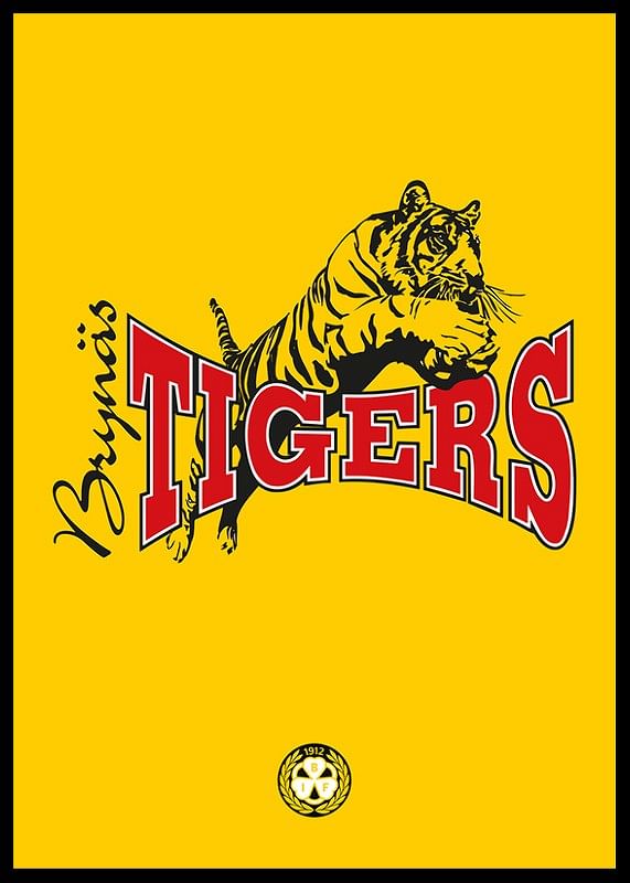 Tigers Brynäs IF-12