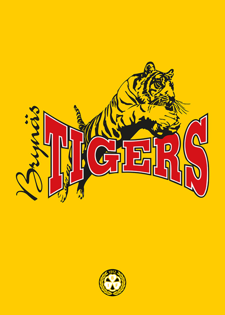 Tigers Brynäs IF-12