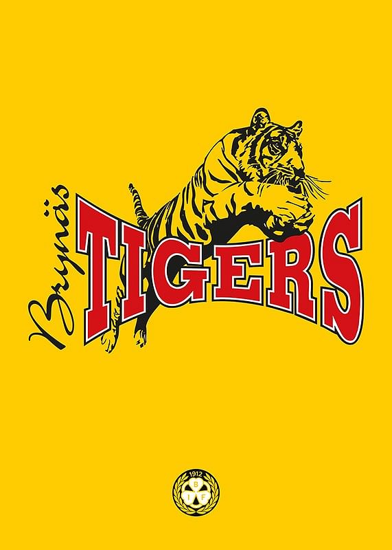 Tigers Brynäs IF-12