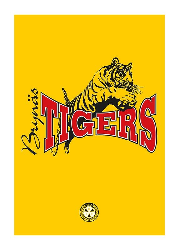 Tigers Brynäs IF-12