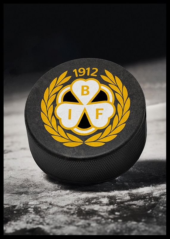 Hockeypuck Brynäs IF-12