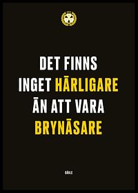 Det Finns Inget Härligare Brynäs IF-2