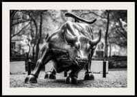 Black and white photo of the Charging Bull sculpture in New York-2