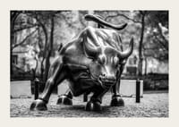 Black and white photo of the Charging Bull sculpture in New York-3