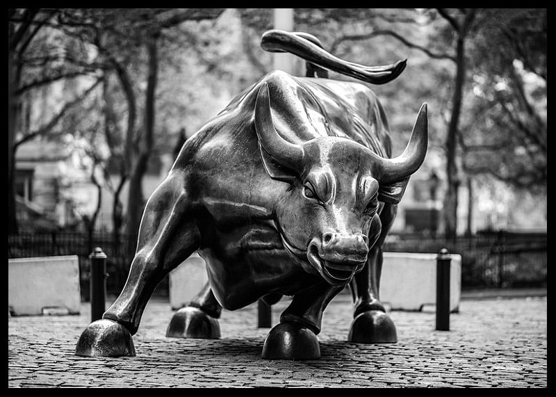 Charging Bull No2-12