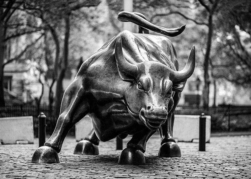 Charging Bull No2-12