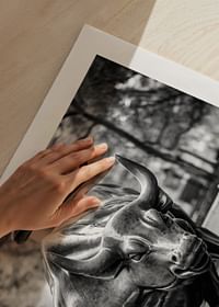 Charging Bull No2-5