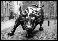 Primo piano in bianco e nero della scultura Charging Bull a New York-6