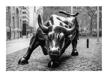 Poster Charging Bull No1