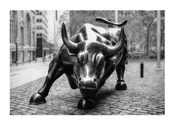 Plagát Charging Bull No1