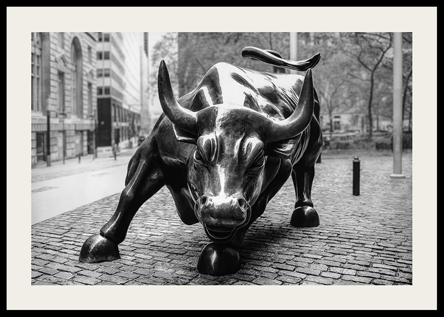 Primo piano in bianco e nero della scultura Charging Bull a New York-12