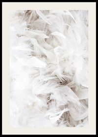 Close-up of soft white feathers in light and airy composition-2